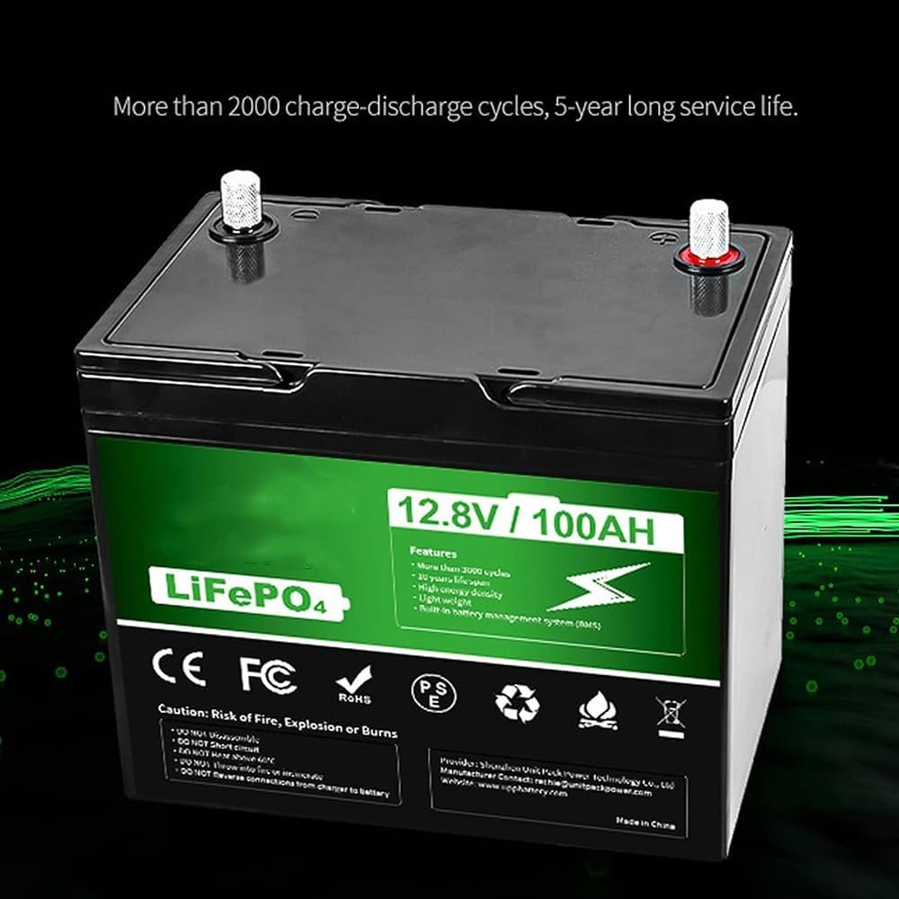 Comparing and Reviewing 4 Lithium Iron Phosphate Batteries