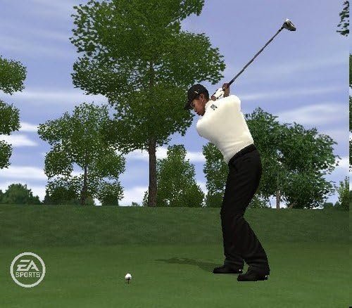 Tiger Woods PGA Tour 10 – PlayStation 2 Review